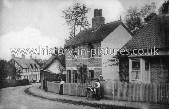 The Village, Pleshey, Essex. c.1910's